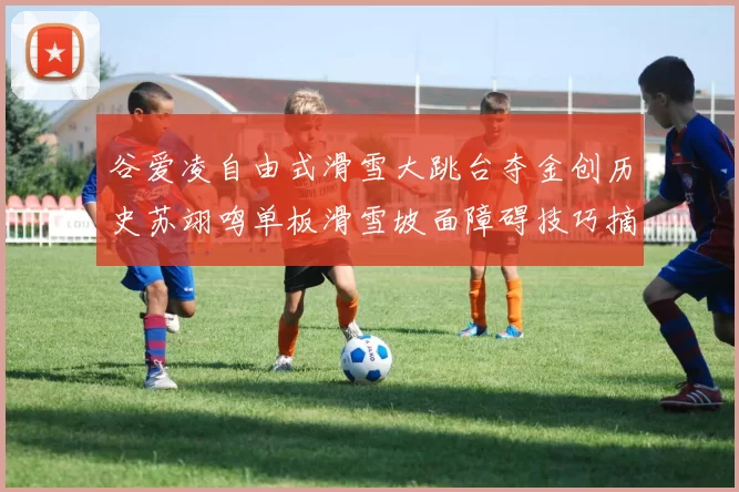 谷爱凌自由式滑雪大跳台夺金创历史苏翊鸣单板滑雪坡面障碍技巧摘银