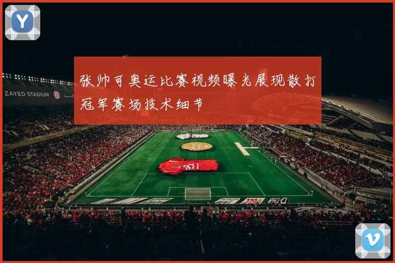 张帅可奥运比赛视频曝光展现散打冠军赛场技术细节